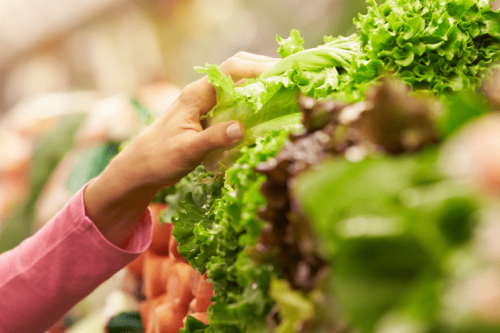 2022-SECAO-DE-FLV-1280X505-min