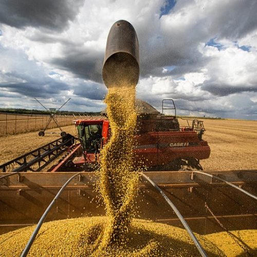 Agro_CNA