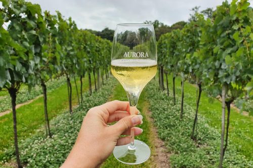 Aurora_vinhos