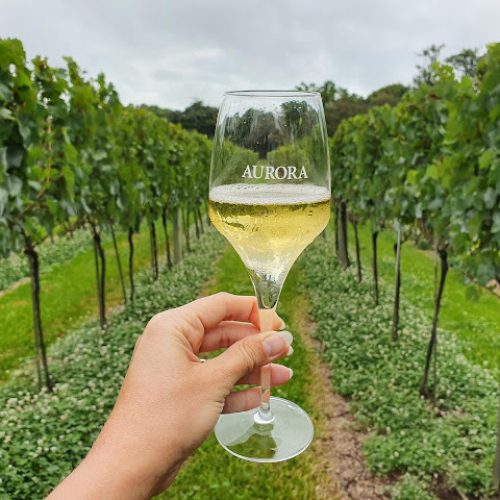 Aurora_vinhos
