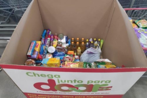 Campanha_Fort-e1597928372867