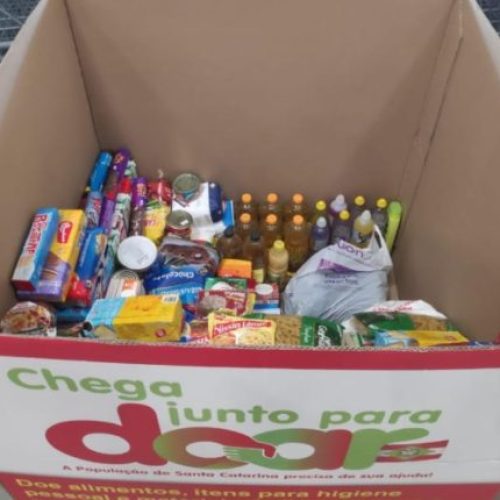 Campanha_Fort-e1597928372867
