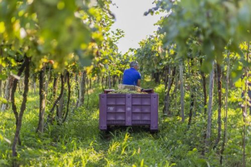 Coop_Garibaldi-scaled-e1609780814771