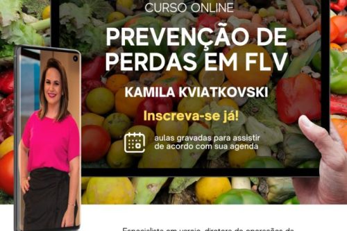 Curso_Kamila-e1612267175549
