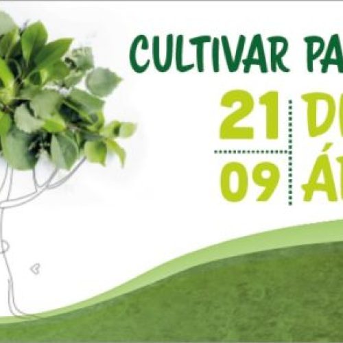 Dia_Arvore_Top-e1632148346484
