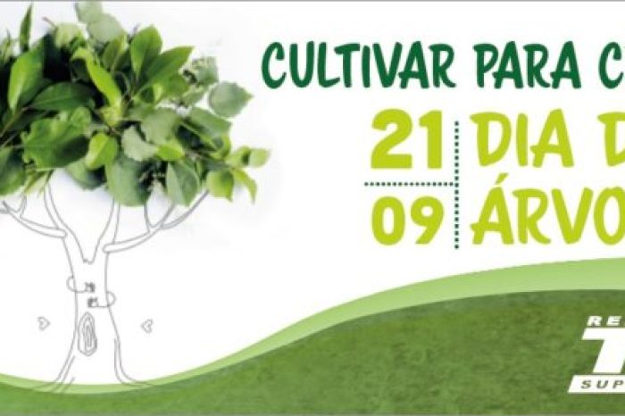 Dia_Arvore_Top-e1632148346484