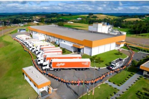 Dipaes-e1666902987607