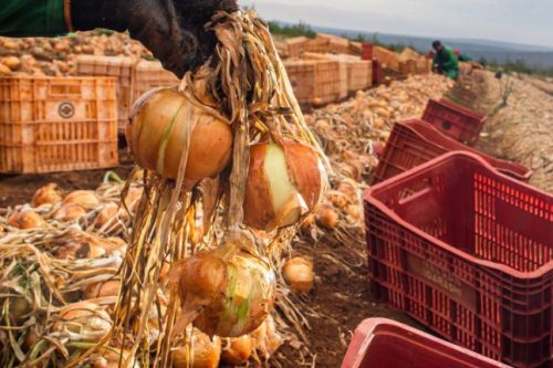 xr:d:DAFAUNeXt1I:636,j:2026221309,t:23011618