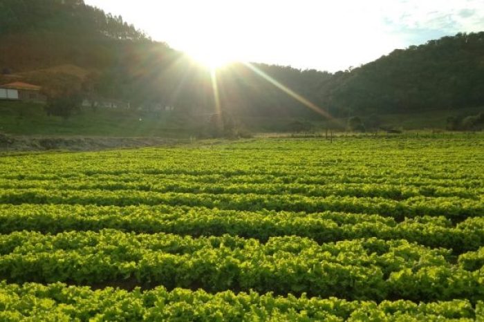 Familia_Gorges_Angelina-1-e1579095587320