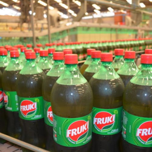 Fruki-1-e1628594289313