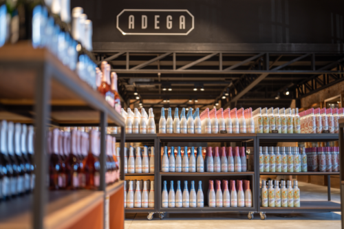 Garibaldi-e1673011858655