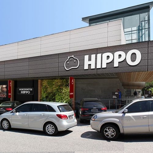 Hippo