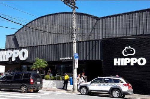 Hippo-e1660219142374