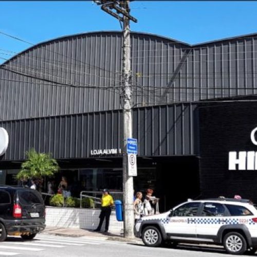 Hippo-e1660219142374