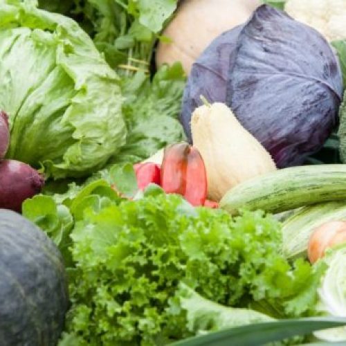 Organicos-e1525693822623