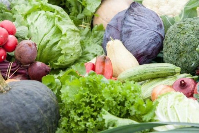 Organicos-e1525693822623