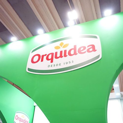 Orquidea-800x567-1