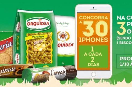 Orquidea-e1542622189784