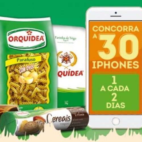 Orquidea-e1542622189784