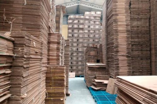 Papelao-e1702473345168