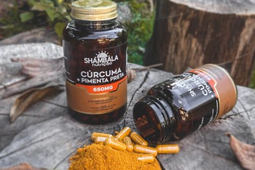 Shambala_Expo-scaled-e1687873368787