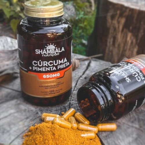 Shambala_Expo-scaled-e1687873368787
