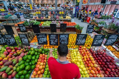 WhatsApp Image 2025-11-19 at 09.40.05 (1)