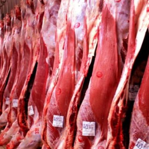 carne_exportacao-e1631542071244