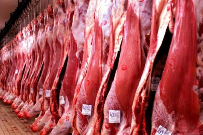 carne_exportacao-e1631542071244