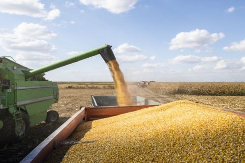 colheita_graos
