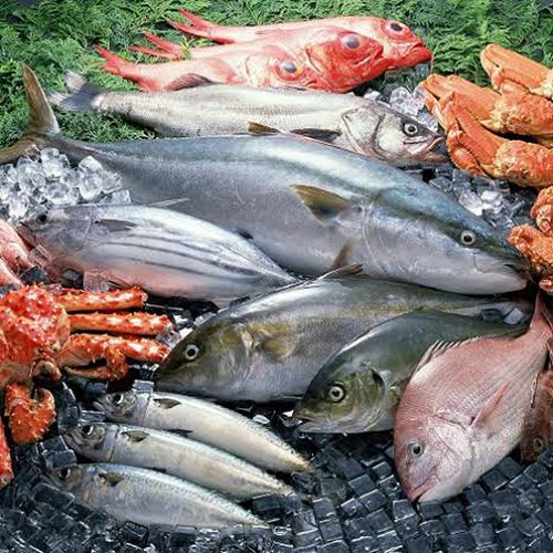 pescado-em-geral