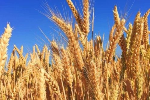 xr:d:DAFAUNeXt1I:537,j:1289813208,t:23010216